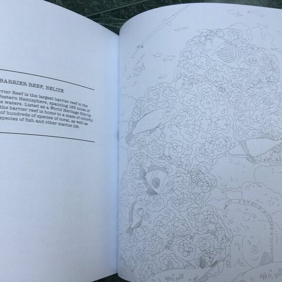 Adult Coloring Books - Picture 11 of 12